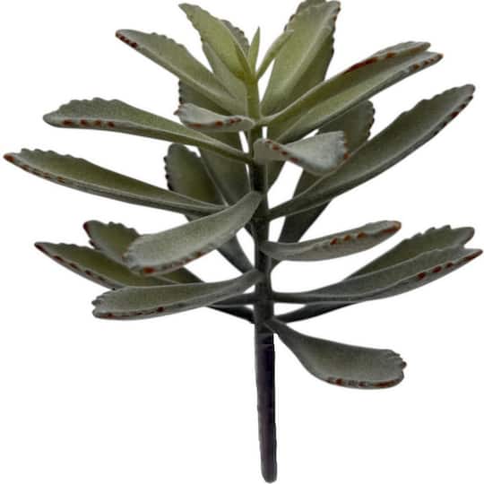12 Pack: 7.5" Kalanchoe Pick by Ashland®